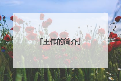 王伟的简介