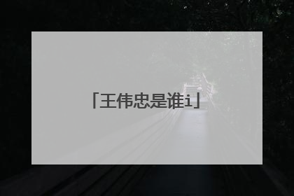 王伟忠是谁i