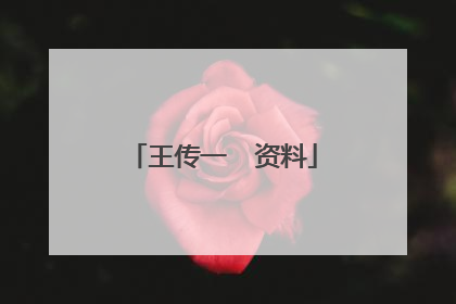 王传一 资料