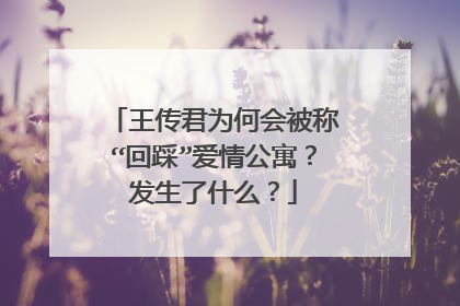 王传君为何会被称“回踩”爱情公寓?发生了什么?
