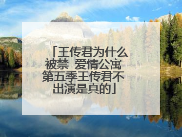 王传君为什么被禁 爱情公寓第五季王传君不出演是真的
