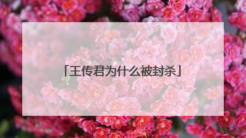 王传君为什么被封杀