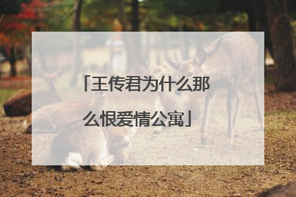 王传君为什么那么恨爱情公寓