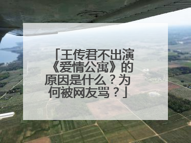 王传君不出演《爱情公寓》的原因是什么?为何被网友骂?