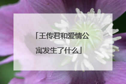 王传君和爱情公寓发生了什么