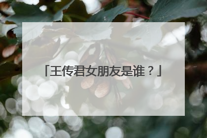 王传君女朋友是谁？