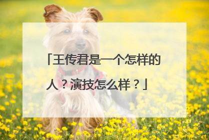 王传君是一个怎样的人？演技怎么样？