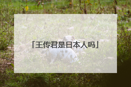 王传君是日本人吗