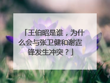 王伯昭是谁，为什么会与张卫健和谢霆锋发生冲突？