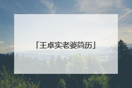 王卓实老婆简历