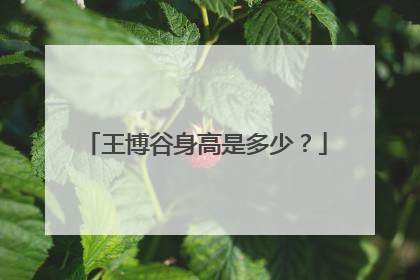 王博谷身高是多少?