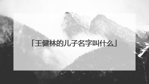 王健林的儿子名字叫什么