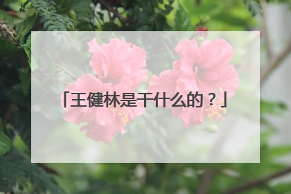 王健林是干什么的?