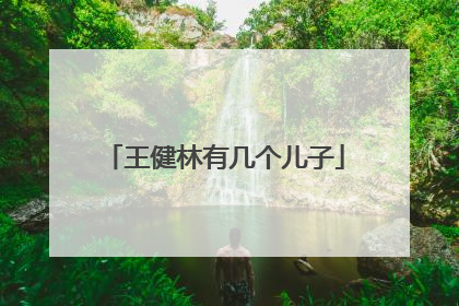 王健林有几个儿子