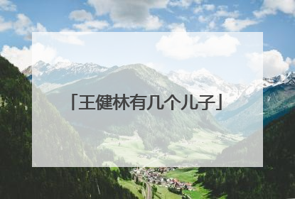 王健林有几个儿子