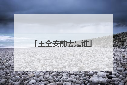王全安前妻是谁