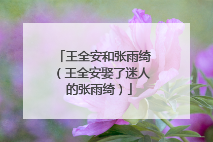 王全安和张雨绮(王全安娶了迷人的张雨绮)