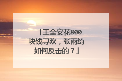 王全安花800块钱寻欢，张雨绮如何反击的？