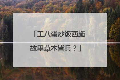 王八蛋炒饭西施故里草木皆兵？