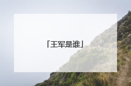 王军是谁