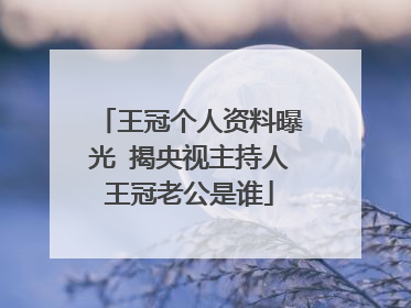 王冠个人资料曝光 揭央视主持人王冠老公是谁