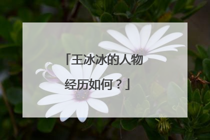 王冰冰的人物经历如何?