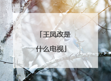 王凤改是什么电视