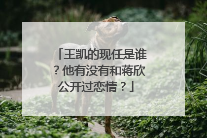 王凯的现任是谁？他有没有和蒋欣公开过恋情？