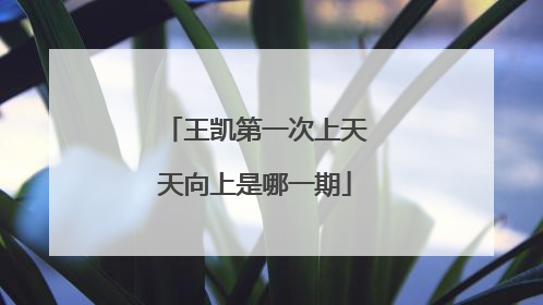 王凯第一次上天天向上是哪一期