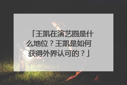 王凯在演艺圈是什么地位？王凯是如何获得外界认可的？