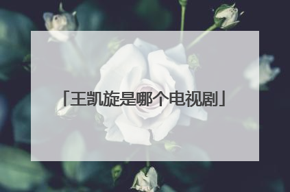 王凯旋是哪个电视剧