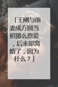 王刚与前妻成方圆当初那么恩爱，后来却离婚了，因为什么？
