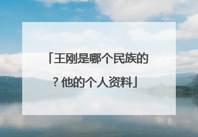 王刚是哪个民族的？他的个人资料