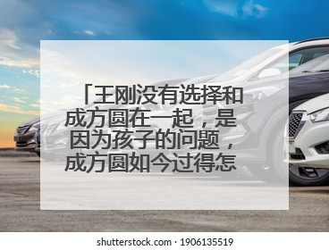 王刚没有选择和成方圆在一起,是因为孩子的问题,成方圆如今过得怎么样?