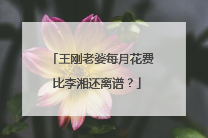 王刚老婆每月花费比李湘还离谱？
