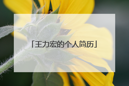 王力宏的个人简历