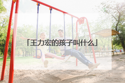 王力宏的孩子叫什么