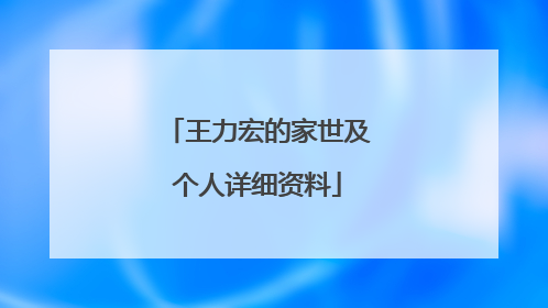 王力宏的家世及个人详细资料