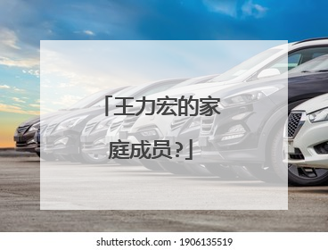 王力宏的家庭成员?