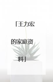 王力宏的家庭资料