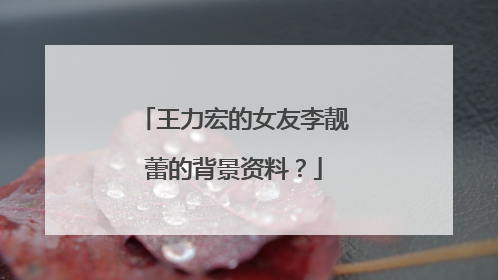 王力宏的女友李靓蕾的背景资料？