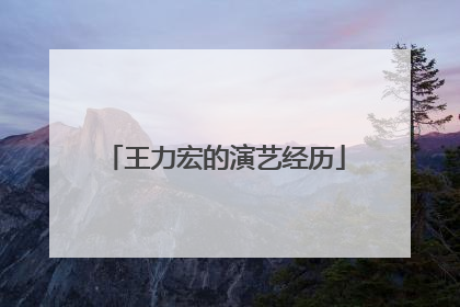 王力宏的演艺经历
