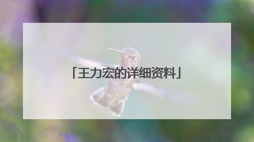 王力宏的详细资料