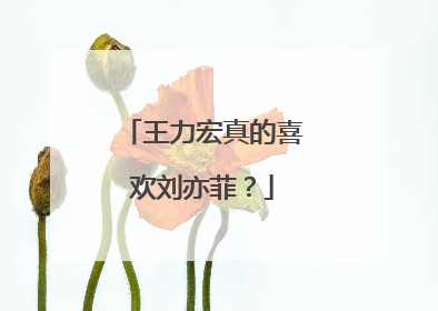 王力宏真的喜欢刘亦菲？