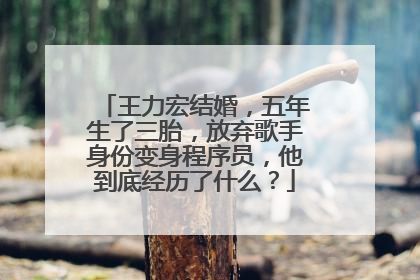 王力宏结婚，五年生了三胎，放弃歌手身份变身程序员，他到底经历了什么？
