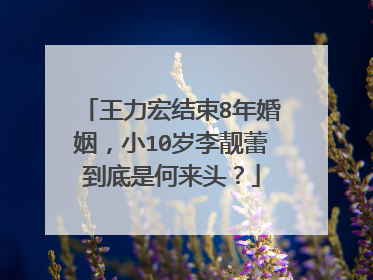 王力宏结束8年婚姻，小10岁李靓蕾到底是何来头？