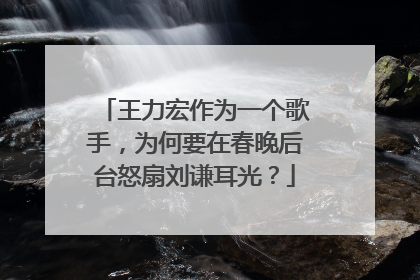 王力宏作为一个歌手，为何要在春晚后台怒扇刘谦耳光？