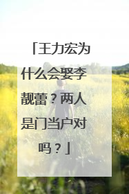 王力宏为什么会娶李靓蕾?两人是门当户对吗?