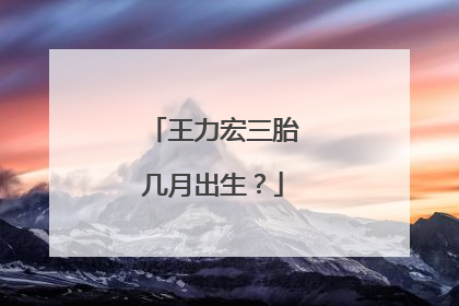王力宏三胎几月出生?