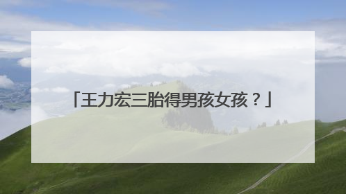 王力宏三胎得男孩女孩?